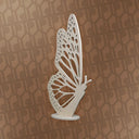 butterly decor event